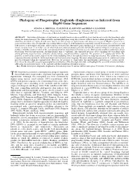 Euglenozoa) As Inferred from Hsp90 Gene Sequences