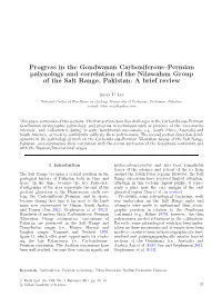 Progress in the Gondwanan Carboniferous–Permian Palynology and Correlation of the Nilawahan Group of the Salt Range, Pakistan: a Brief Review