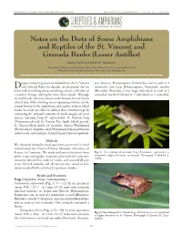 Notes on the Diets of Some Amphibians And