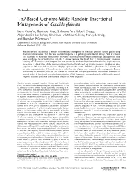 Tn7-Based Genome-Wide Random Insertional Mutagenesis of Candida