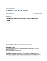 Control of Secondary Granule Release in Neutrophils by Ral Gtpase
