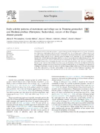 Daily Activity Patterns of Movement and Refuge Use in Triatoma Gerstaeckeri and Rhodnius Prolixus