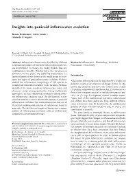 Insights Into Panicoid Inflorescence Evolution