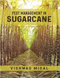 Pest Management in Sugarcane