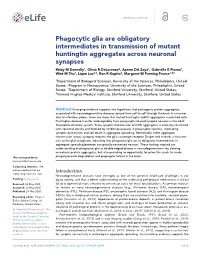 Phagocytic Glia Are Obligatory Intermediates in Transmission Of