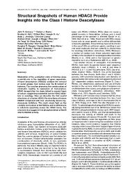 Structural Snapshots of Human HDAC8 Provide Insights Into the Class I Histone Deacetylases