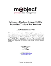 In-Memory Database Systems (Imdss) Beyond the Terabyte Size Boundary