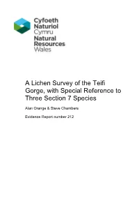A Lichen Survey of the Teifi Gorge, with Special Reference to Three Section 7 Species