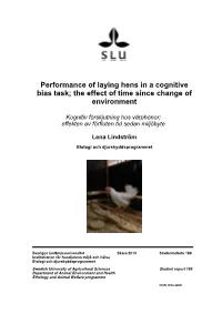 Performance of Laying Hens in a Cognitive Bias Task; the Effect of Time Since Change of Environment