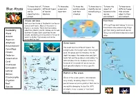 Blue Abyss Living Organisms Different Types Oceans Are World’S Oceans Classify Marine Impact of Different Ways Can Be of Marine Important