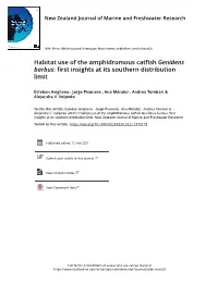 Habitat Use of the Amphidromous Catfish Genidens Barbus: First Insights at Its Southern Distribution Limit