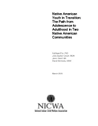 Native American Youth in Transition: the Path from Adolescence to Adulthood in Two Native American Communities