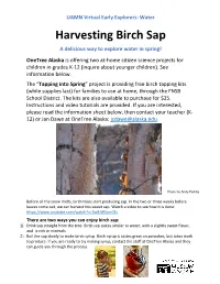 Harvesting Birch