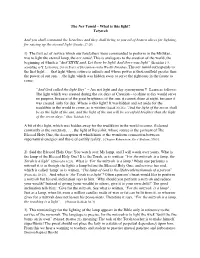 The Ner Tamid – What Is This Light? Tetzaveh and You Shall Command