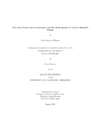 The Role of Focus Cues in Stereopsis, and the Development of a Novel Volumetric Display