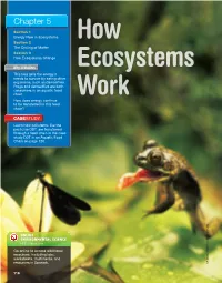 Chapter 5 Hmdscience.Com EN Online Vir Onmental Science Work Ecosystems How