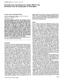 Chromatin from Transcribed Genes Contains HMIG17 Only Downstream from the Starting Point of Transcription