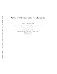 Phases of Active Matter in Two Dimensions