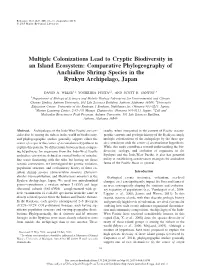 Multiple Colonizations Lead to Cryptic Biodiversity in an Island Ecosystem: Comparative Phylogeography of Anchialine Shrimp Species in the Ryukyu Archipelago, Japan