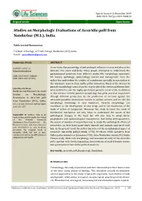 Studies on Morphologic Evaluations of Ascaridia Galli from Nandurbar (M.S.), India