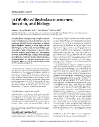 ADP-Ribosyl)Hydrolases: Structure, Function, and Biology