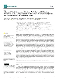 Effects of Traditional and Modern Post-Harvest Withering Processes on the Composition of the Vitis V