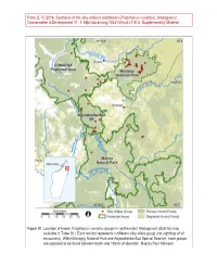 Patel, ER 2016. Synthesis of the Silky Sifaka's Distribution