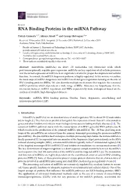 RNA Binding Proteins in the Mirna Pathway