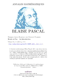 Braids in Pau -- an Introduction