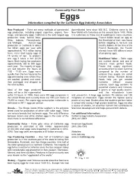 Eggs Fact and Activity Sheet