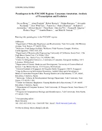 Pseudogenes in the ENCODE Regions: Consensus Annotation, Analysis of Transcription and Evolution