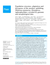 Revealed by Genomic and Morphological Data