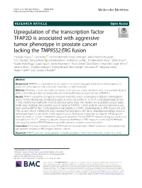 Upregulation of the Transcription Factor TFAP2D Is Associated With