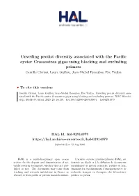 Unveiling Protist Diversity Associated with The