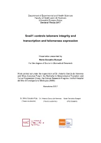 Snail1 Controls Telomere Integrity and Transcription and Telomerase Expression