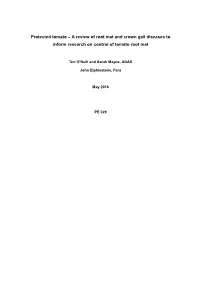 A Review of Root Mat and Crown Gall Diseases to Inform Research on Control of Tomato Root Mat