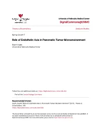 Role of Endothelin Axis in Pancreatic Tumor Microenvironment