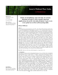Study of Morphology and Outcome of Various Showing Measures With