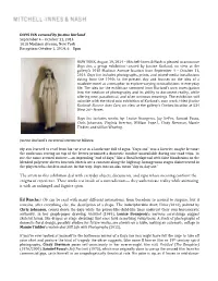 The Artists in This Exhibition Deal with Everyday Objects, Documents, and Signs Whose Meaning Confront the Enigma of Experience