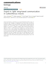 Wing-Based Communication in Carboniferous Insects