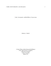 Codes, Cryptography, and the Mceliece Cryptosystem