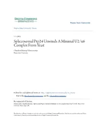 Spliceosomal Prp24 Unwinds a Minimal U2/U6 Complex from Yeast Chandani Manoja Warnasooriya Wayne State University