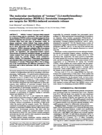 "Ecstasy" [3,4-Methylenedioxy- Methamphetamine (MDMA)]: Serotonin Transporters Are Targets for MDMA-Induced Serotonin Release GARY RUDNICK* and STEPHEN C