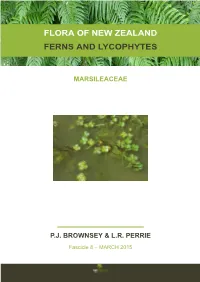 Flora of New Zealand Ferns and Lycophytes