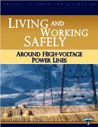 Living and Working Safely Around High-Voltage Power Lines 1