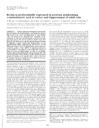 Reelin Is Preferentially Expressed in Neurons Synthesizing ␥-Aminobutyric Acid in Cortex and Hippocampus of Adult Rats