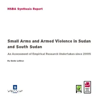 Small Arms and Armed Violence in Sudan and South Sudan