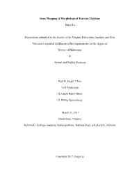 Gene Mapping of Morphological Traits in Chickens