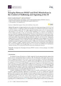 Interplay Between SNX27 and DAG Metabolism in the Control of Traﬃcking and Signaling at the IS