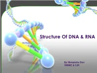 Structure of DNA &